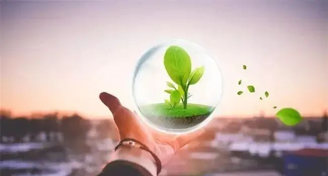 明确价格诚信要求、规范价格竞争行为……三部门公开征求意见